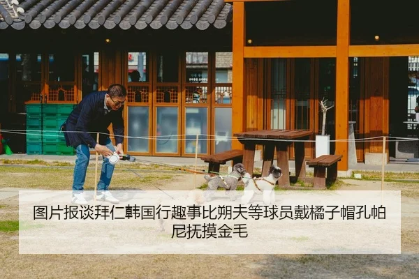 图片报谈拜仁韩国行趣事比朔夫等球员戴橘子帽孔帕尼抚摸金毛